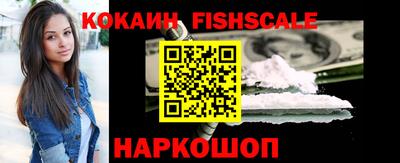 jwh Кингисепп