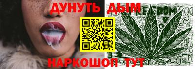 jwh Кингисепп
